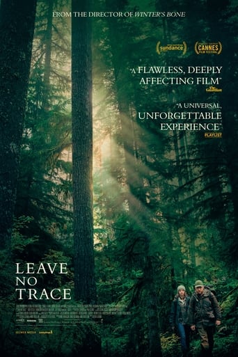 Poster de la película 