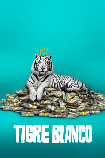 Poster de la película "Tigre Blanco"